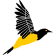 Rutaca
